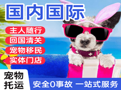 兴义万峰林国际宠物托运 【国